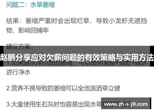 赵鹏分享应对欠薪问题的有效策略与实用方法 赵鹏分享应对欠薪问题的有效策略与实用方法