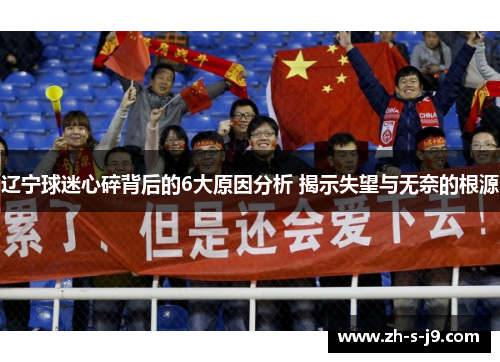 辽宁球迷心碎背后的6大原因分析 揭示失望与无奈的根源
