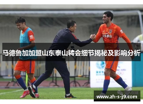 马德鲁加加盟山东泰山转会细节揭秘及影响分析